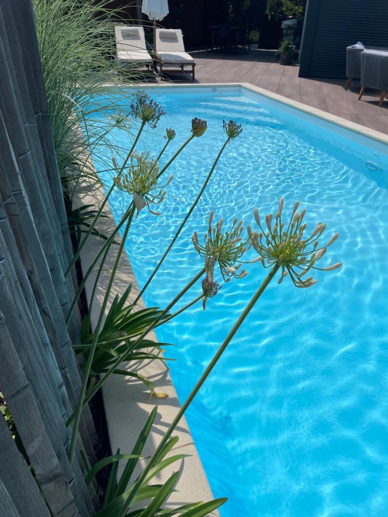 Villa Pierartlou 阿雷斯 外观 照片